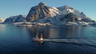 Möllers Tran fra hjertet av Lofoten [upl. by Lenoj]