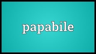 Papabile Meaning [upl. by Sugna]