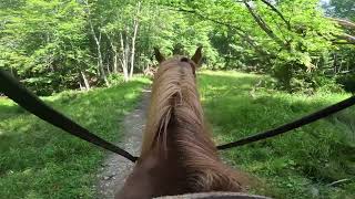 Pipestem State Park  2 Hour Horseback Riding Trip First Time Rider [upl. by Lowson]