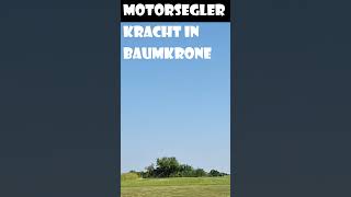 Motorsegler kracht im Baumkrone [upl. by Faxen162]