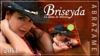 Briseyda Solis  Y Me Quede Llorando Audio Oficial [upl. by Eilrebma]