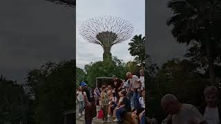 Supertree Observatory Singapore singapore marinabaysingapore [upl. by Anitel]