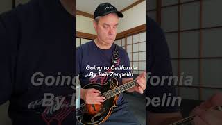 Going to California Led Zeppelin Mandolin rockpopmandolin shorts shortsvideo [upl. by Russia]