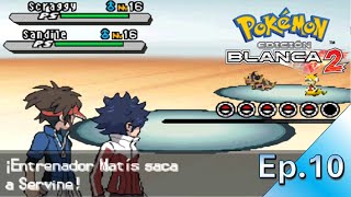 ¡Combatimos junto a Matís POKEMON BLANCO 2 Cutrigameplay sin comentarios [upl. by Eldora565]