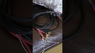 Audiomica Kammer Gold Series vs Audioquest Castle Rock speaker cables [upl. by Eenad]