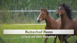 Reiten in Rheinland Pfalz Ferienwohnung Limburg an der Lahn Reiterhof Renn [upl. by Couq]