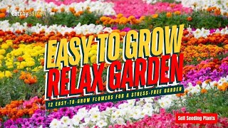 TOP 12 EASYTOGROW FLOWERS FOR A STRESSFREE GARDEN 🌷🌺🌹  SELF SEEDING FLOWERS [upl. by Yelekalb]