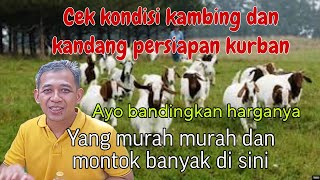 Rekomendasi kambing sehat dan murah persiapan Idul Adha [upl. by Elamrej]