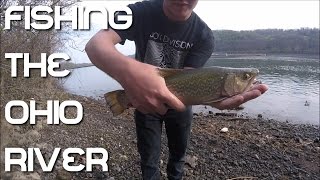 Tiger Trout Caught in the Ohio River [upl. by Betthezul458]