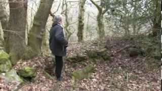 Richplanet TV  March 2014 Show  Hidden Welsh Archaeology [upl. by Sutelc161]