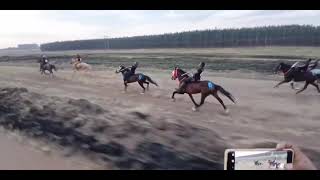 Mpumalanga Daggakraal Grade 1 08092024 traditionalhorseracing horse horseracing horseriding [upl. by Htebazileyram]