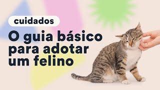 O que fazer antes de adotar um gato  Petz TV Cuidados [upl. by Sucram724]