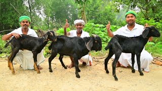 30 KG Mutton Curry Recipe  Mutton curry recipe cooking for village poor people  Helping kitchen [upl. by Robinett]