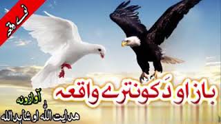 Baz Ao Kontara New Pashto Naat  Raghla Kontara Da Asmana Nabi دہ باز او د کو نترے واقعہ خئستہ نظم [upl. by Eikciv885]