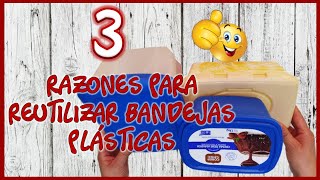 LINDAS IDEAS CON BANDEJAS DE PLÁSTICO  Manualidades con reciclaje  Nice crafts with plastic trays [upl. by Clarance]