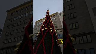 In Germany Christmas decorations youtubeshorts Christmas shorts decorations amazingchristmas [upl. by Relyuc943]