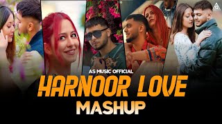 Harnoor Mashup  Harnoor Mashup 2024  Walliyan  Chan Vekhya  Moonlight  AS Music Official [upl. by Lyrehc309]