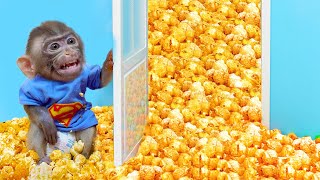 Baby Monkey Bon Bons Epic Popcorn Explosion 🍿🔥 [upl. by Anires179]