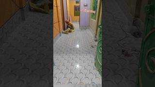 Tiles Floor fitting design 2×4 size [upl. by Aleb]