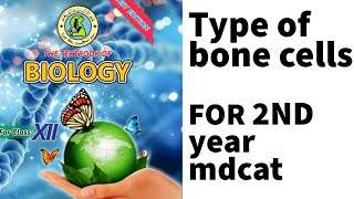 Bone cell Osteoblast l Osteocytes l Osteoclast l Sindh text Braod Book l for 2nd year and Mdcat [upl. by Uolyram]