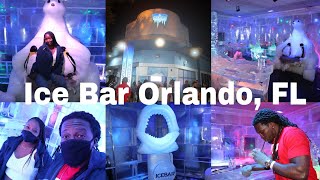 Orlando FL  Ice Bar Experience  Orlando NightLife  Ice Sculptures  Ice amp Fire Lounge  Drinks [upl. by Akerehs]