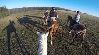 Reiterferien auf dem Ferienhof Schepper [upl. by Custer916]