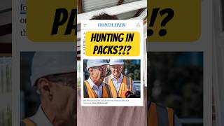 Roger Cook isn’t even trying to hide it — he’s “hunting in packs” with mining companies 🤯 [upl. by Inafit]