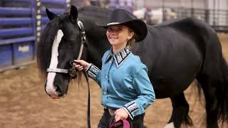 2024 Gypsy Vanner Horse Nationals  RNG Jett [upl. by Kironde]