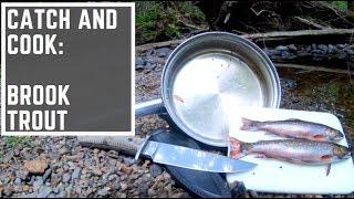 Catch and Cook  Brook Trout fishing in Acadia [upl. by Acirem]