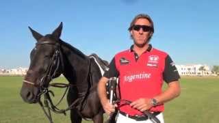 Learn how to play polo The Essential Guide by Steve Thompson [upl. by Lach354]