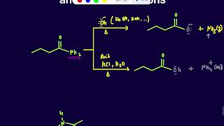 Hydrolysis of Amide under acidic and Basic Conditions [upl. by Owen]