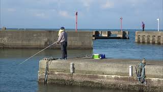 石田フィッシャリーナ釣り桟橋Toyama釣りFishing天国Japan [upl. by Pammy]