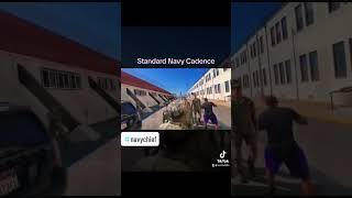 Standard Navy Cadence usn usnavy navychief navychiefworkout [upl. by Bucella133]