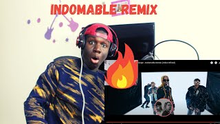 Gigolo y La Exce Nio Garcia  Casper Indomable Remix Official Video Reaction [upl. by Alair604]