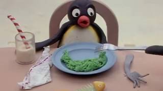 Pingu As A Chef  Pingu Official Channel [upl. by Khorma478]