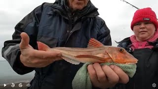 QUIET SESSION AT BRANSCOMBE  beachfishing seafishinguk [upl. by Eikin754]