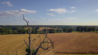 Pour une agriculture résiliente s’adapter face au changement climatique  Bande annonce [upl. by Kee]