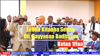 OROMIA11 Eebba Kitaaba Senaa Ob Bayyanaa Badhaaso [upl. by Fesuy]