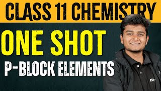 ONE SHOT  PBlock Elements  Chemistry  Xylem NEET Tamil [upl. by Akenom]