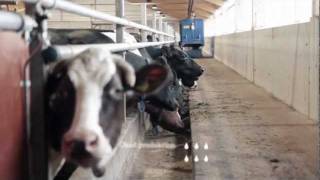 DeLaval Optimat™ Master på Torp [upl. by Ellenad460]