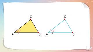 Videolezione  I criteri di congruenza dei triangoli [upl. by Irek954]