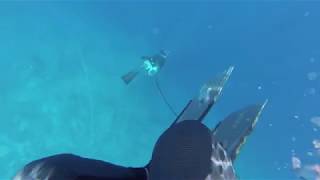 Spearfishing 8th Micro Games Pohnpei 2014 [upl. by Edgerton]