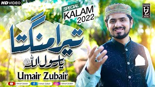 Tera Mangta Ya Rasuallah یارسول اللہ 2022  Umair Zubair [upl. by Kant]