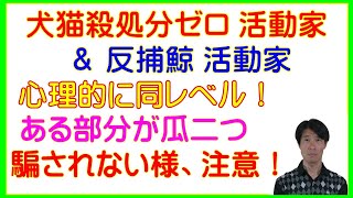 反捕鯨活動家と犬猫殺処分ゼロ活動家の心理は同レベルシーシェパード、ポールワトソン、ブリジッドバルドー、グリーンピース、マクロン大統領（敬称略）動物虐待、動物愛護、優生思想、人種差別、動物差別］ [upl. by Goldina]