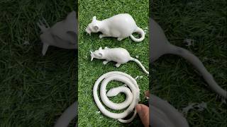 Wow snake mouse [upl. by Curtice]