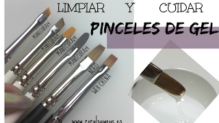 Como Limpiar y Cuidar Nuestros Pinceles de Gel [upl. by Huntington564]