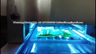 UV sterilization machine [upl. by Ahsiram]