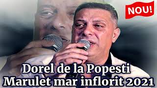 Dorel de la Popesti ❌ Marulet mar inflorit 2021 HORA [upl. by Isla138]