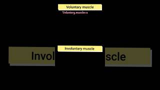 Difference between voluntary and involuntary muscle । muscular tissue l muscle [upl. by Kit603]