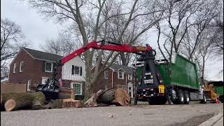 palfinger epsilon m13a on western star 49x loading logs pt2 [upl. by Auhsot400]